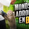 Portada Miniatura de Video