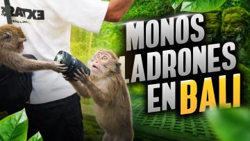 Portada Miniatura de Video